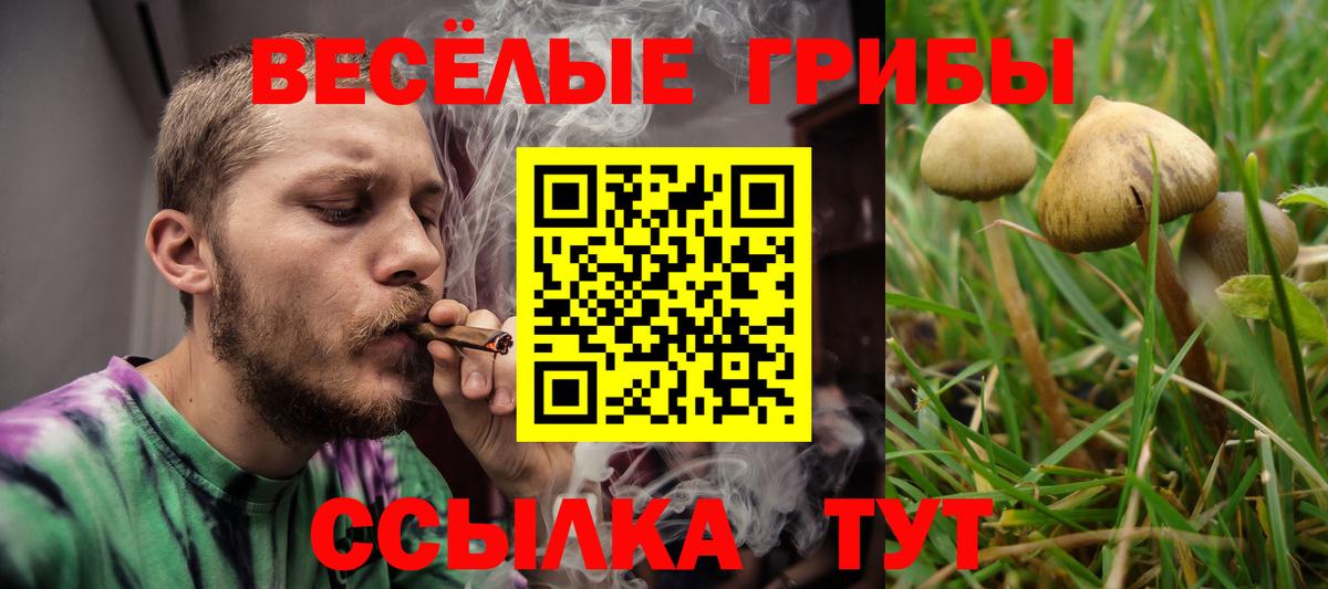 Галлюциногенные грибы Cubensis  Вход с VPN  Самара 